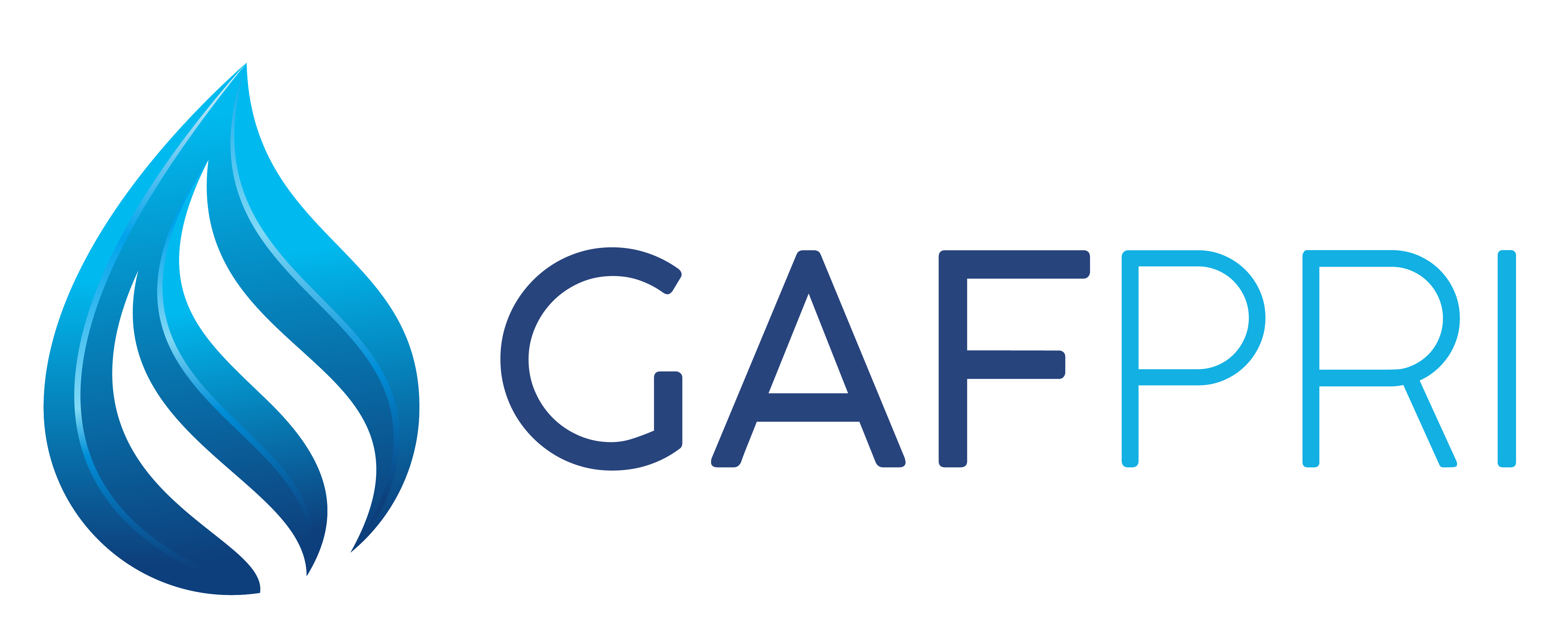 Logo Gafpri Store